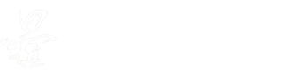 首頁(yè)