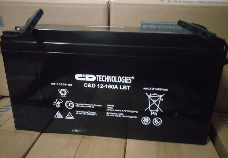 上海市委常委、統(tǒng)戰(zhàn)部部長一行蒞臨C&D大力神蓄電池參觀考察