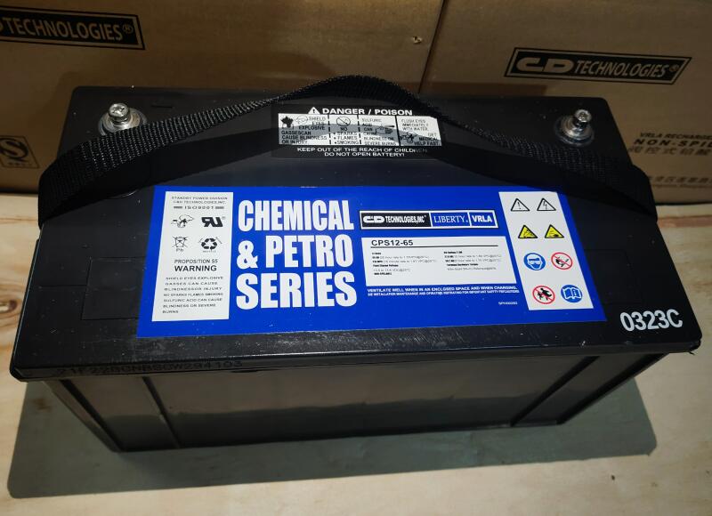 西恩迪蓄電池CPS12-65 12V65AH